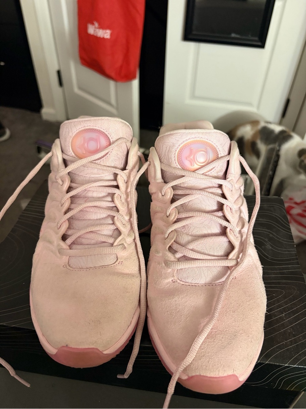 Nike KD 17 NRG “Aunt Pearl” — Pink Foam — M8/W9.5